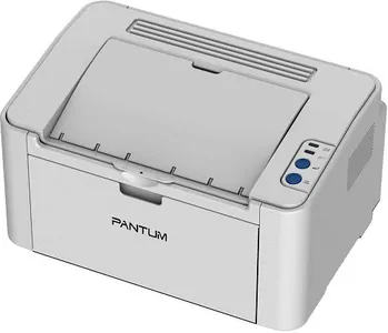 Замена памперса на принтере Pantum P2200 в Волгограде